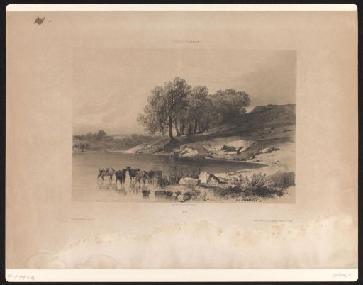 Landscape with cows in a lake