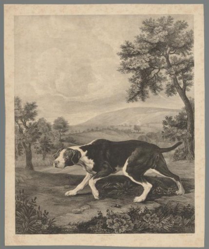 Landscape with dog