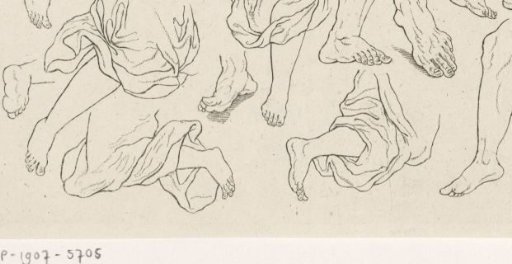 Studies of human lower legs