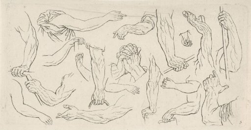Studies of human arms
