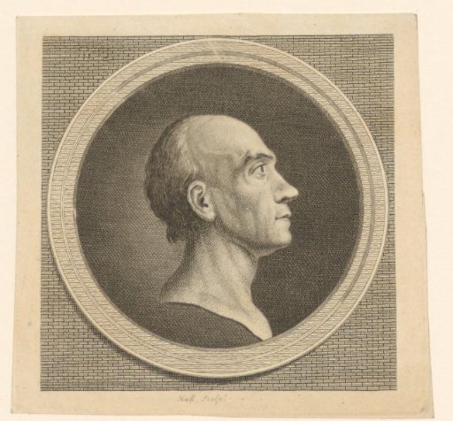 Head of a Man in Profile