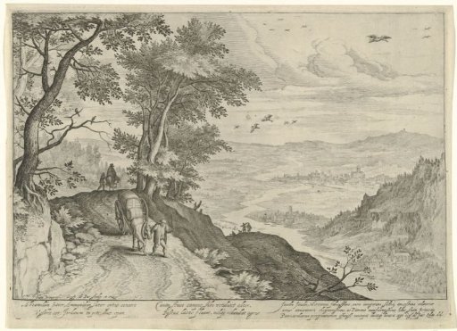 Hilly landscape with forest path