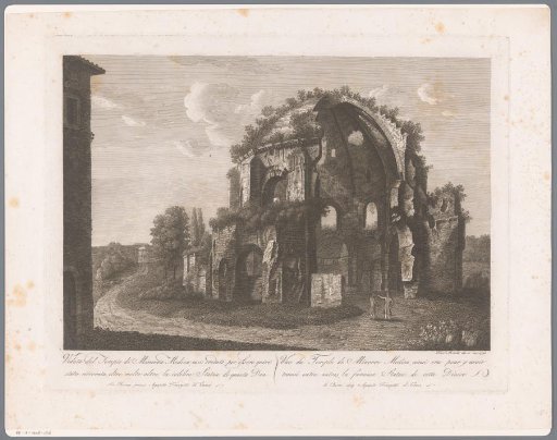 View of the Temple of Minerva Medica