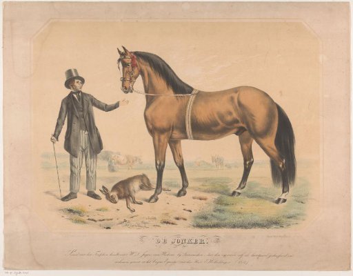 Horse of W.L. de Jager from Wartena