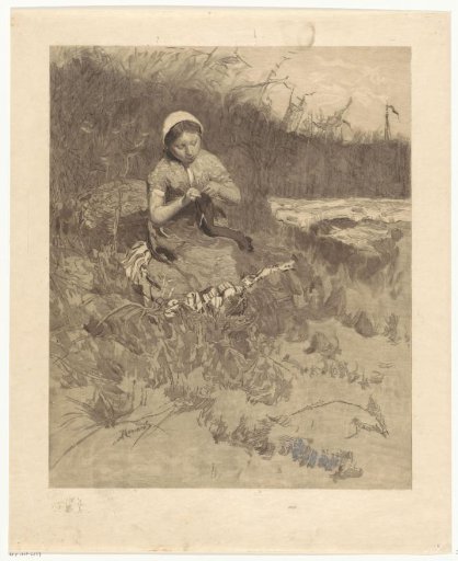 Little Knitter