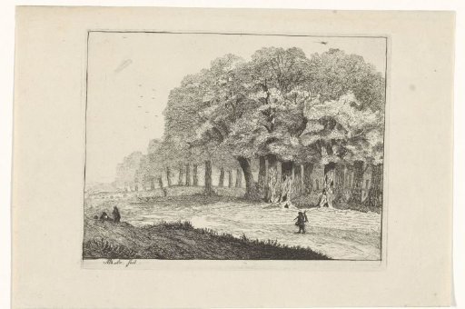 View at the edge of a forest with a returning hunter