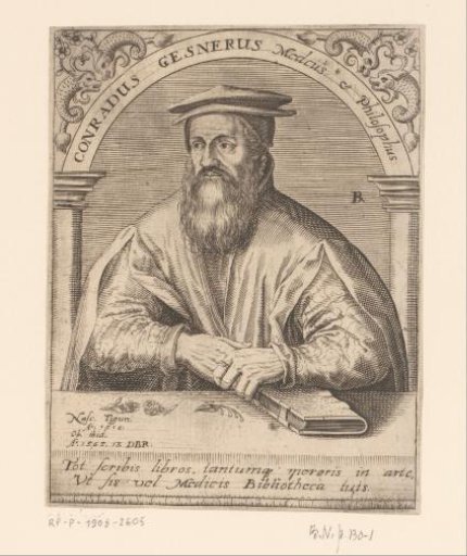 Portrait of Conrad Gesner