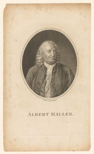 Portrait of Albrecht von Haller