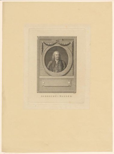 Portrait of Albrecht von Haller