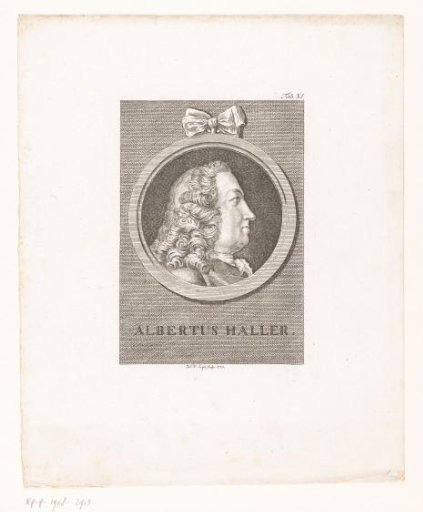 Portrait of Albrecht Haller