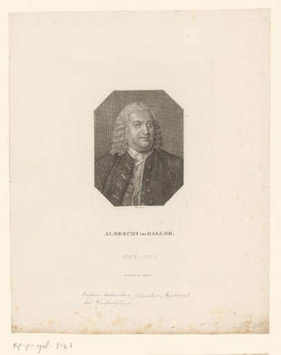 Portrait of Albrecht Haller