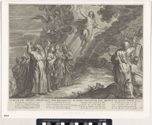 The Assumption