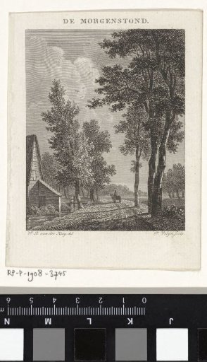 Horse and Wagon on a Country Road