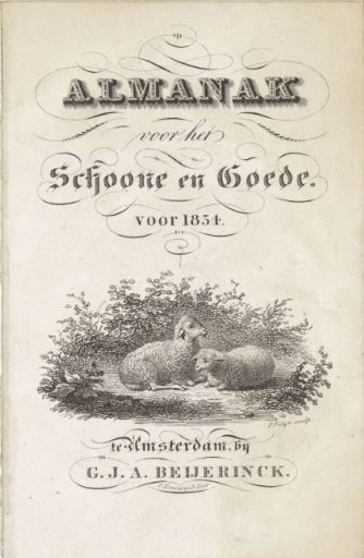 Two lying sheep