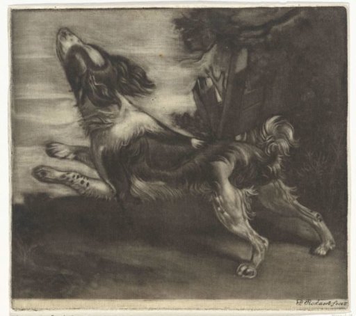 Running Dog