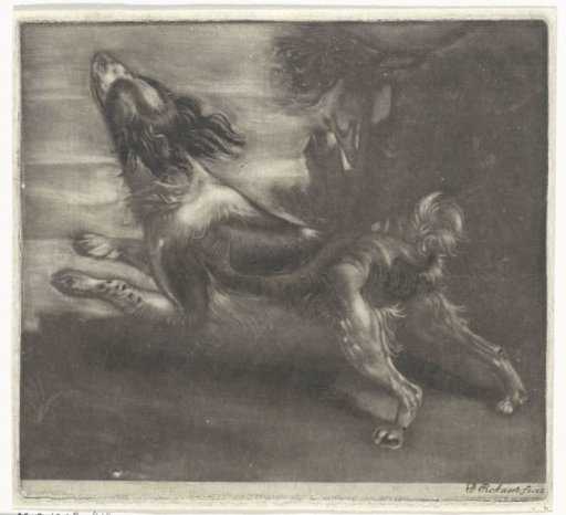 Running Dog