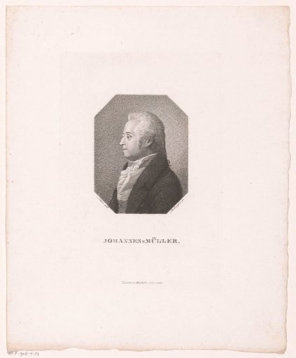 Portrait of Johannes Müller von Sylvelden