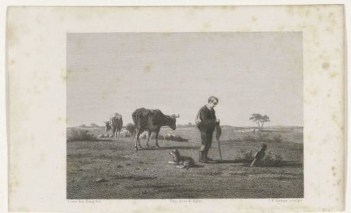 View of a Meadow
