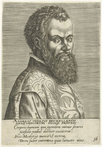 Portrait of Andreas Vesalius