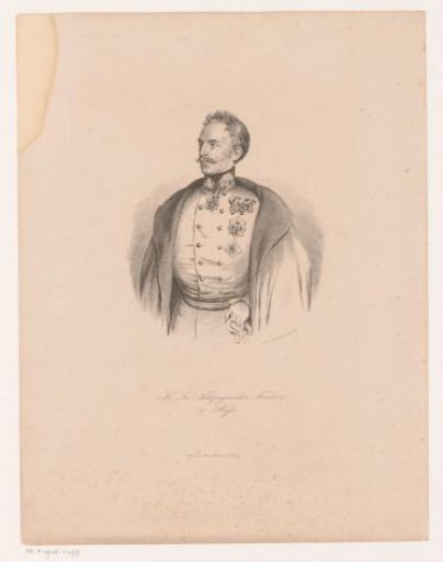 Portrait of Heinrich, Freiherr von Hess