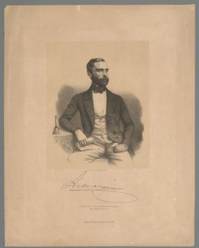 Portrait of an unknown man