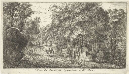 Forest path