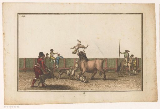 Bull attacked by dogs