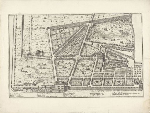 Plan of the garden and vineyard of Pope Sixtus V and the garden of Cardinal Paolo Savelli