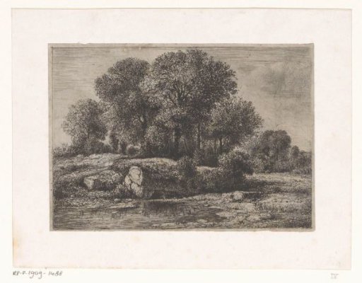 Trees by a pond