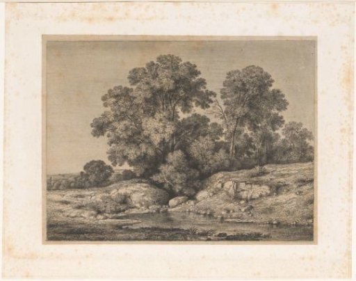 Pond at the foot of a group of trees