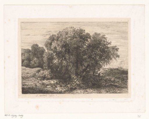 Group of trees with a figure