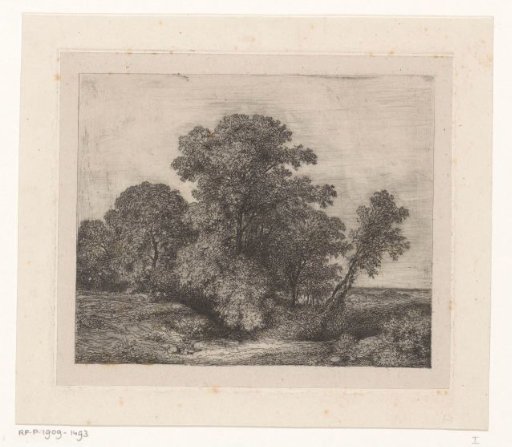 Group of Trees on a Plain