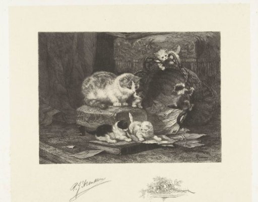 Cat with five playing boys