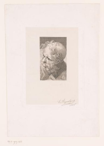 Head of an Old Man