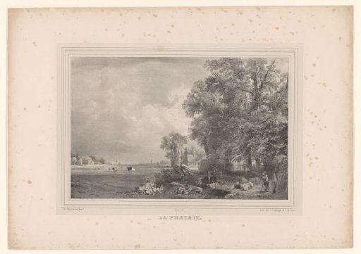 Landscape with cattle on a meadow