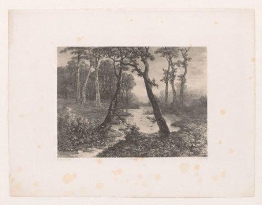 Pool in a Forest