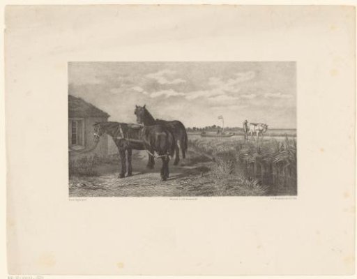 Two horses in front of a barn