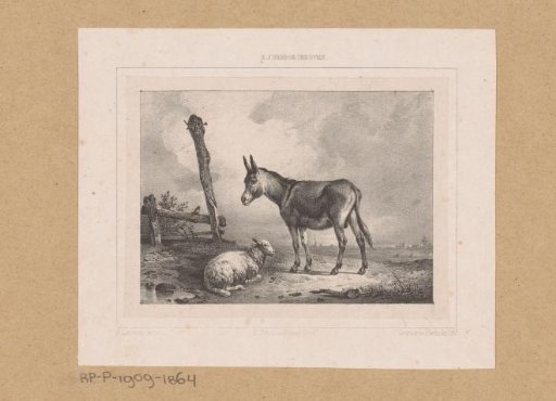 Donkey and sheep