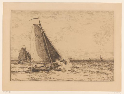 Sailing boats on open water