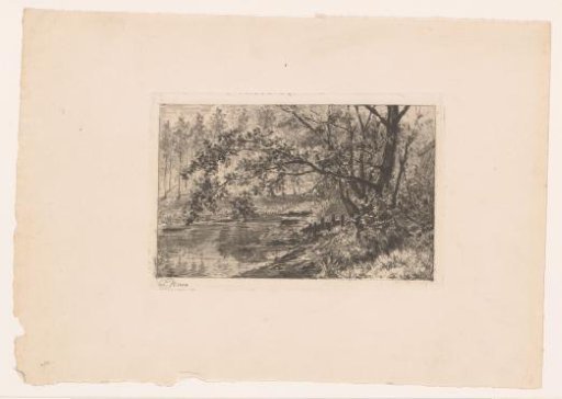 Pond of Groenendaal