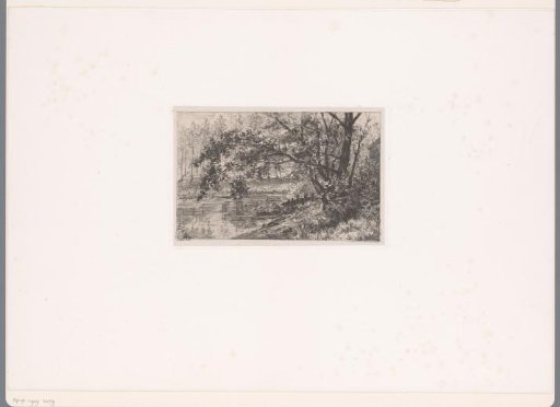 Pond of Groenendaal