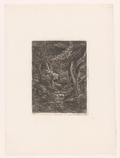 Small Waterfall in a Dense Forest