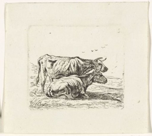 Two Cows