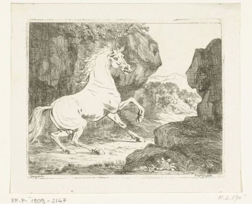 Bouncing White Stallion