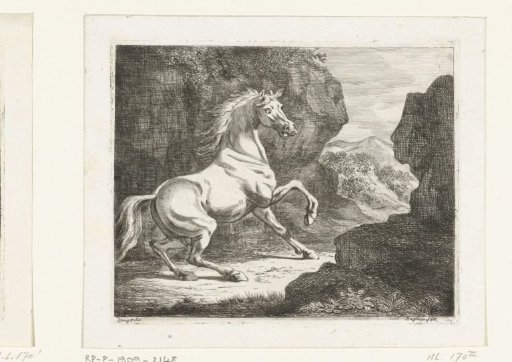 Bouncing White Stallion