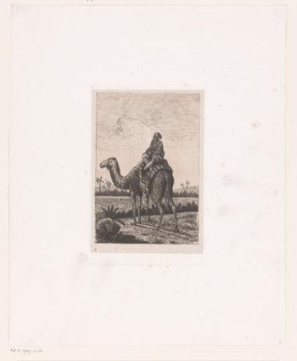 Dromedary with rider in a landscape