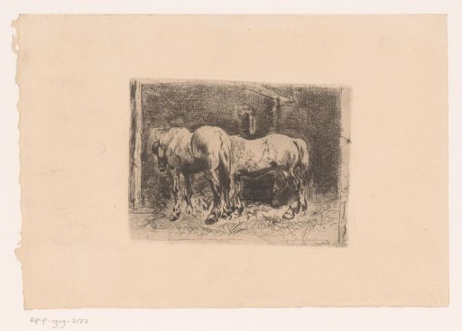 Two horses in the stable