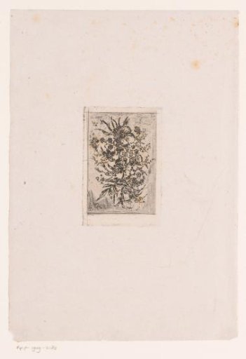 Flower still life