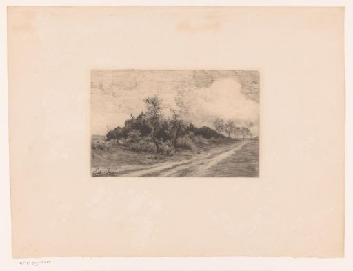 Country road along a group of trees