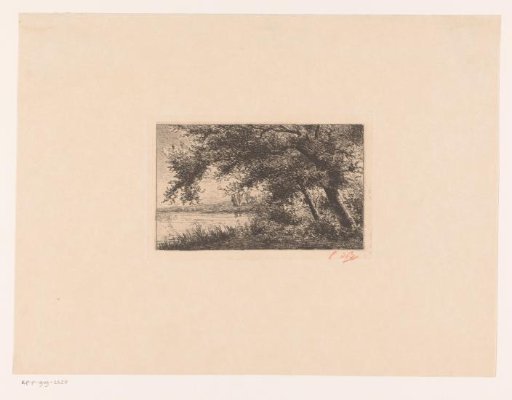 Trees by the water